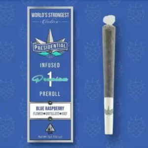 Presidential Moon Rock Preroll – B Raspberry